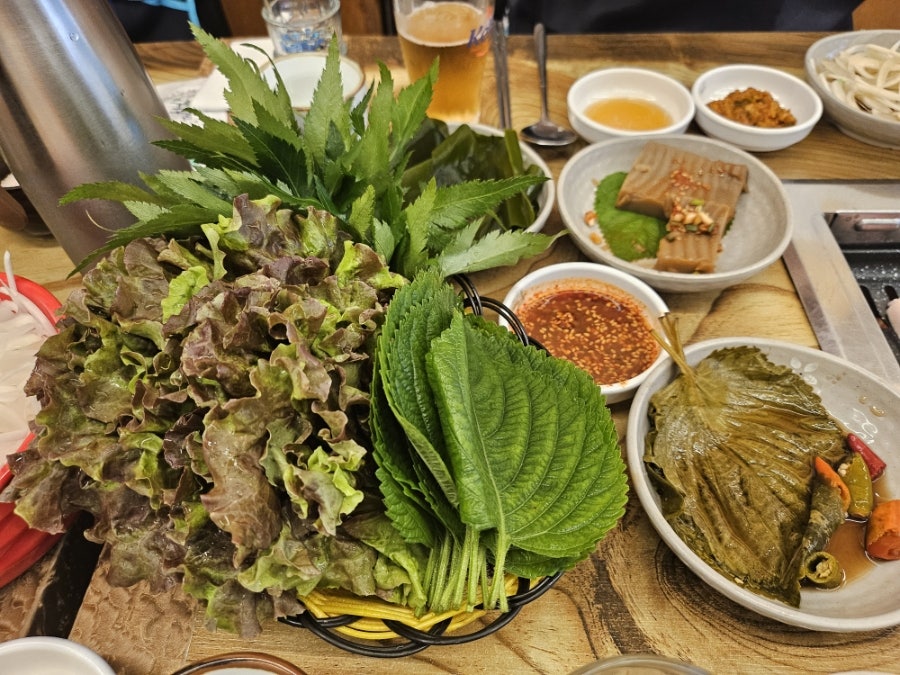 제주흙돼지 사진 3