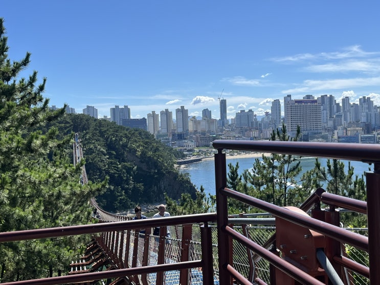  울산 가볼 만한 곳, 대왕암공원 출렁다리