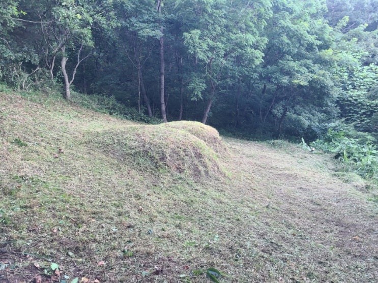  울산 북구 매곡동 산9-6 봉분2기 30평 벌초대행("울산벌초대행")
