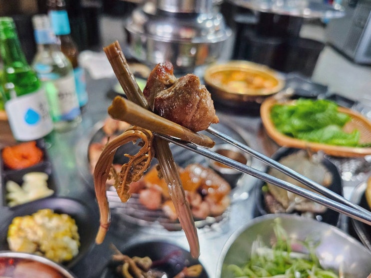  [오돈가] 특별한 저녁을 위한 서귀포 흑돼지 맛집