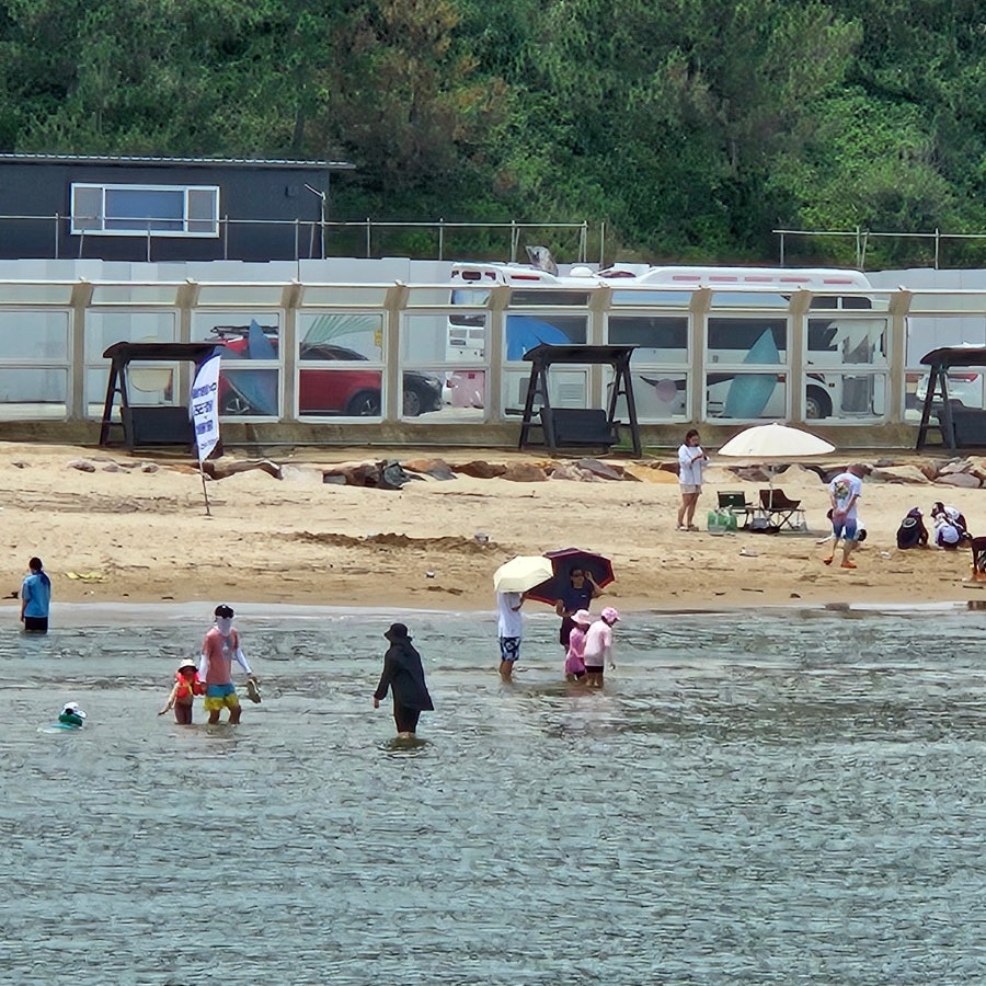 신항만대게 사진 1