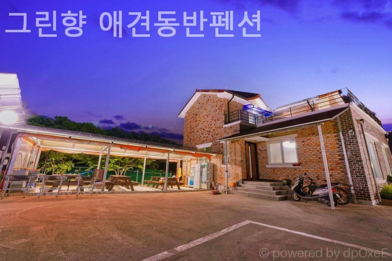 사진 4