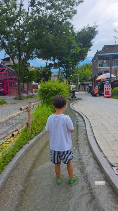 사진 5