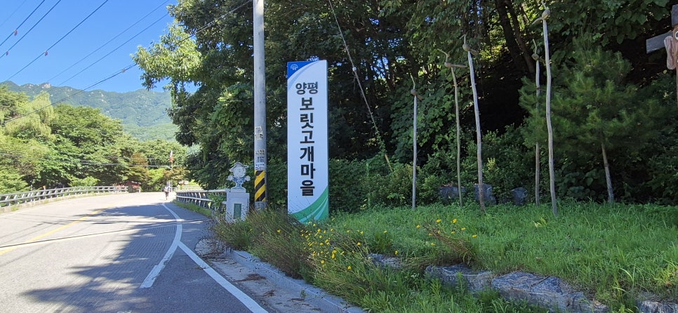 몽골산 사진 4
