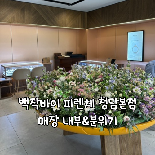  백작바이 피렌체 매장 내부&분위기, 직접 가본 느낌