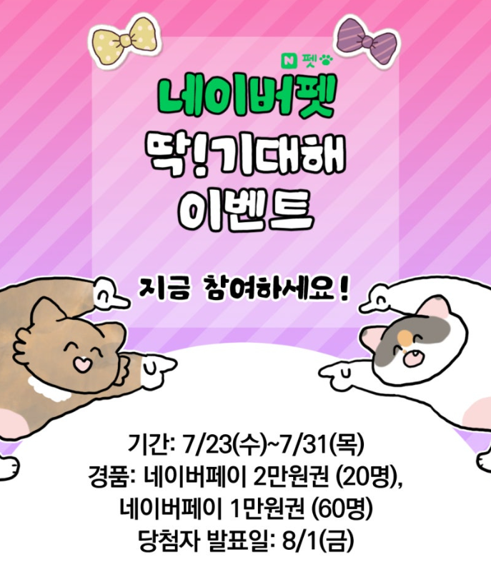  네이버펫 세계고양이의날 맞이 쇼핑지원금 100만원 딱기대해 이벤트 참여!!