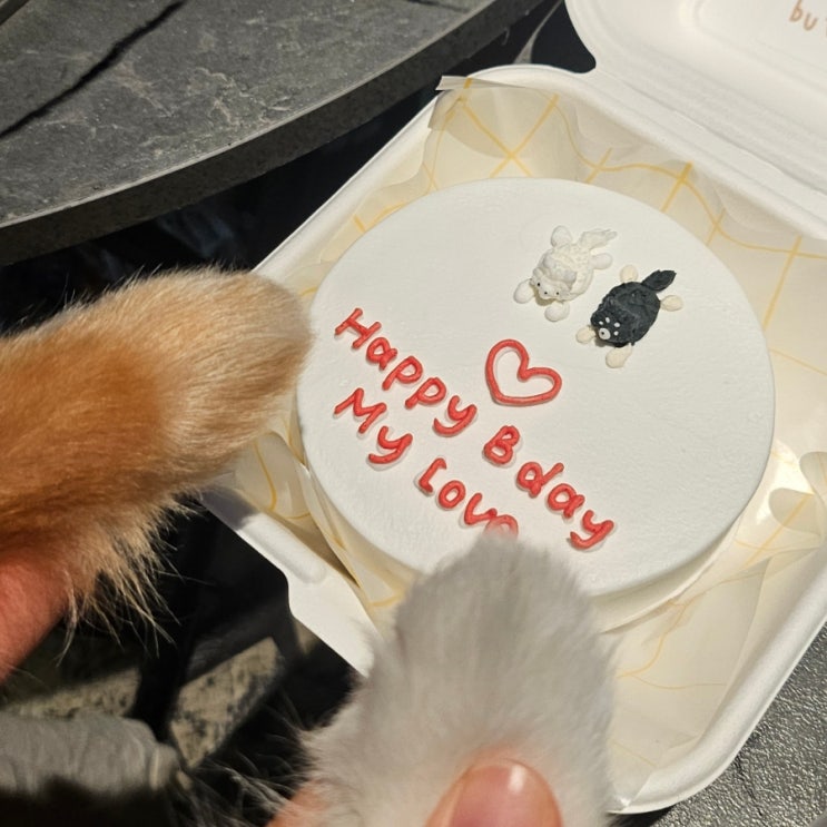  [일상] 내 생일도 아닌데 내가 더 신나는  6월
