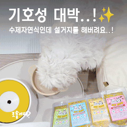  수제습식사료, 노견도 폭풍 흡입! 홍천개아빠 자연식 솔직후기