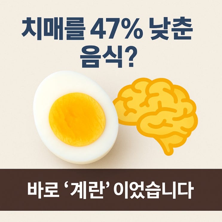  계란 하나로 치매 위험이 절반?! 연구로 증명된 뇌 보호 슈퍼푸드 대공개!