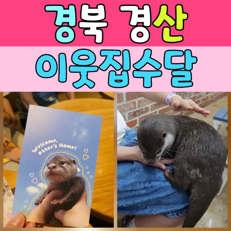  아이들과 함께 떠난 특별한 동물 체험, 경산 이웃집수달 방문 후기