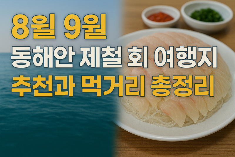 8~9월 동해안 제철 회 여행지 추천 총정리｜회맛 제대로 즐기는 법