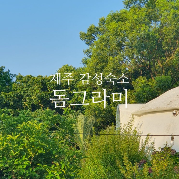 제주 돔그라미 펜션 15개월 아기와 함께한 독채 숙소 후기