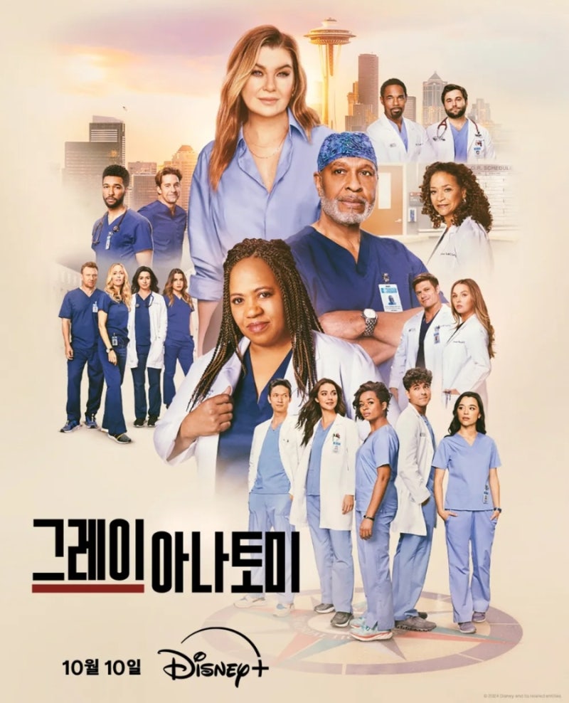 [미드] 그레이아나토미 시즌 15~21정주행
