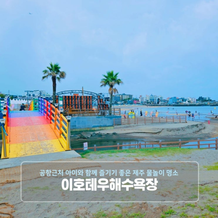  공항근처 아이와 함께 즐기기 좋은 제주 물놀이 명소 이호테우 해수욕장