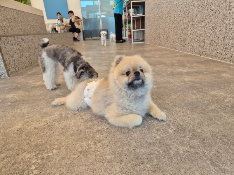 사진 7