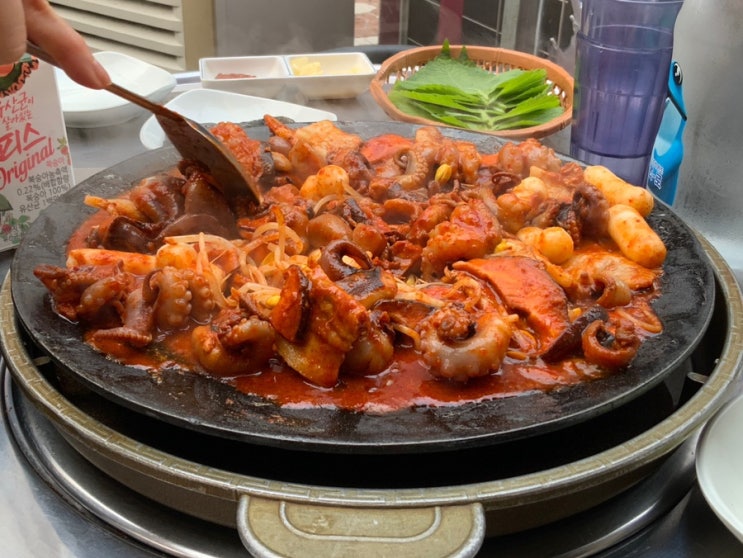  서울여행 맛집 ㅣ회기역맛집 ㅣ 신화쭈꾸미 ㅣ 동대문구 회기역 맛집 신화쭈꾸미 회기점