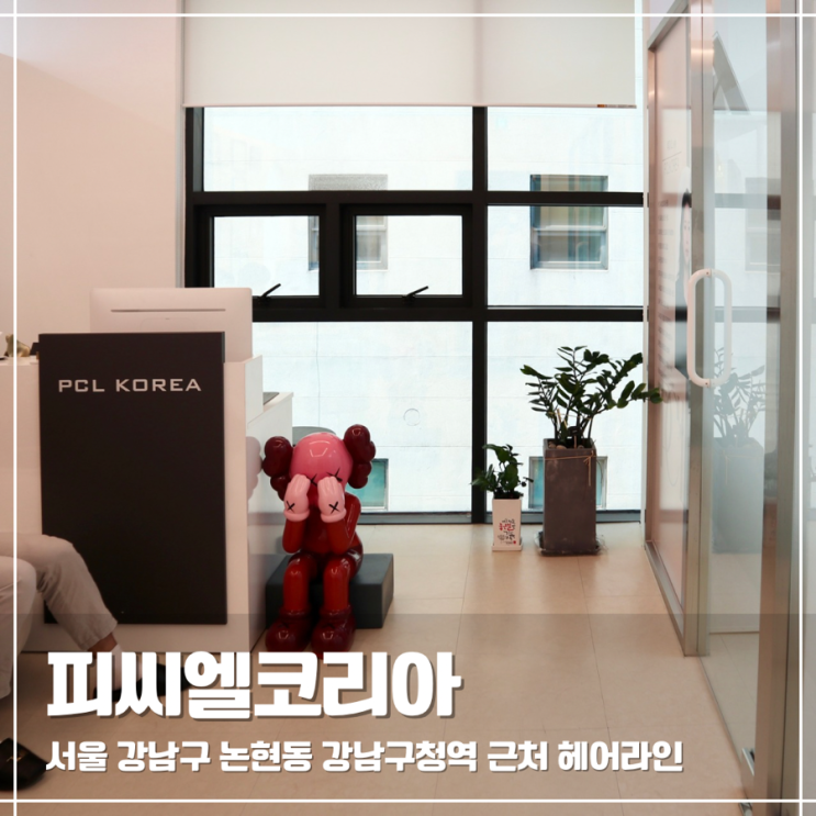  강남 헤어라인 잘하는곳 논현동 피씨엘코리아(PCL KOREA)