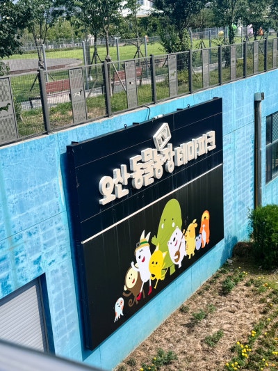 사진 5