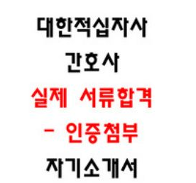  [공개] 대한적십자사 간호사 자소서- 최종 및 서류합격