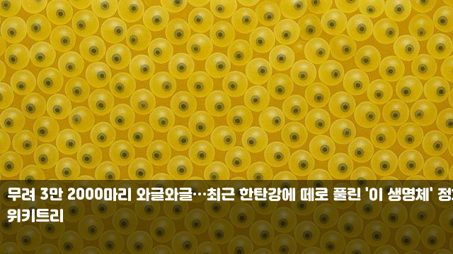 삼진' <b>김혜성</b>, <b>보스턴전</b> 선발 출전→MLB 대표 좌완 크로셰... 