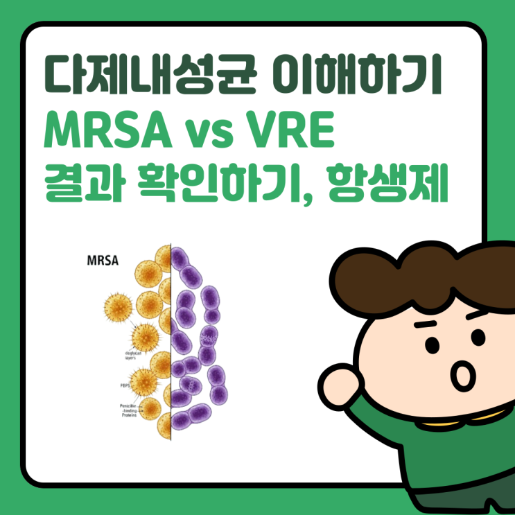  다제내성균 정리 기초 끝판왕 | MRSA, VRE MIC결과 확인법과 항생제 비교 핵심정리