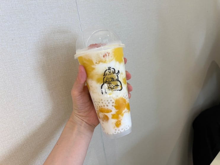 건대 헤이티 망고레드자몽사고 더운여름 찾아서라도 마시는 이유