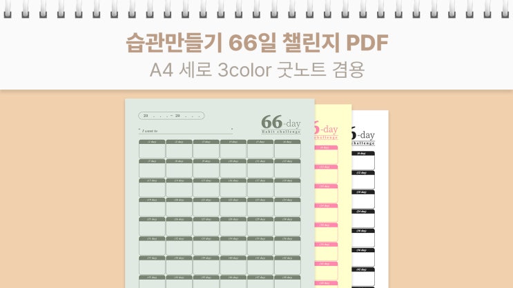  [요청] 66일 챌린지 체크리스트 (굿노트 겸용, A4 프린트용 PDF / 습관 만들기 루틴 서식 공유)
