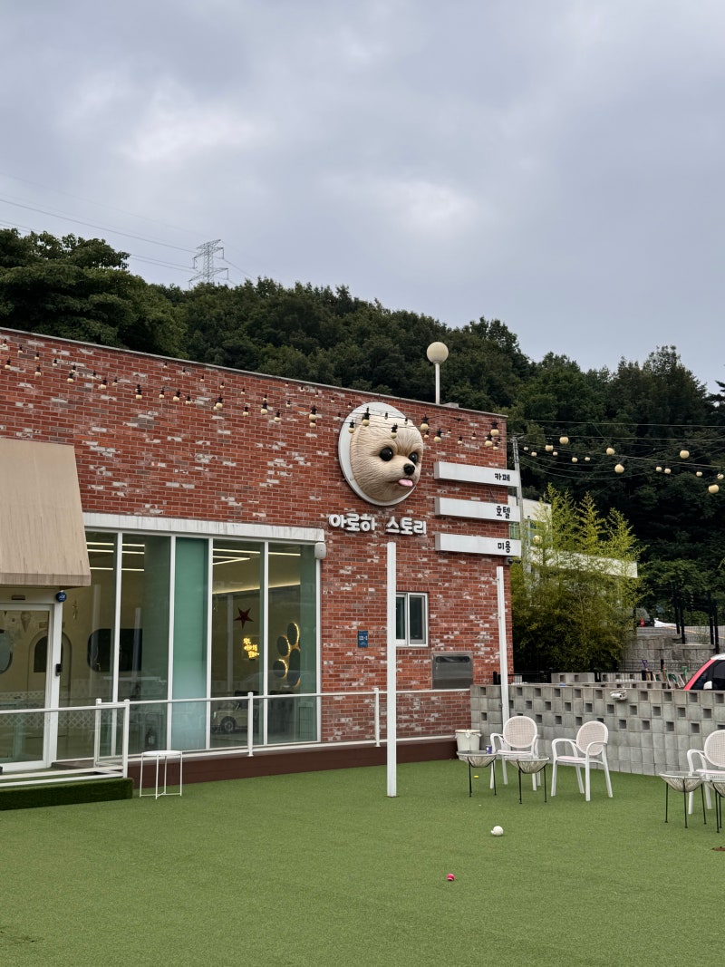 사진 8