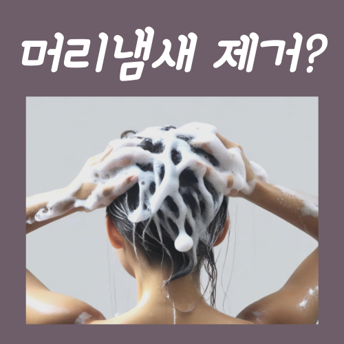  머리냄새 제거? 지금 당장 할 수 있는 2가지 방법