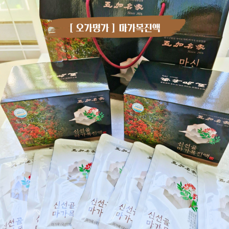  기관지에 좋은 마가목 부모님선물 오가명가 신선골 마가목진액