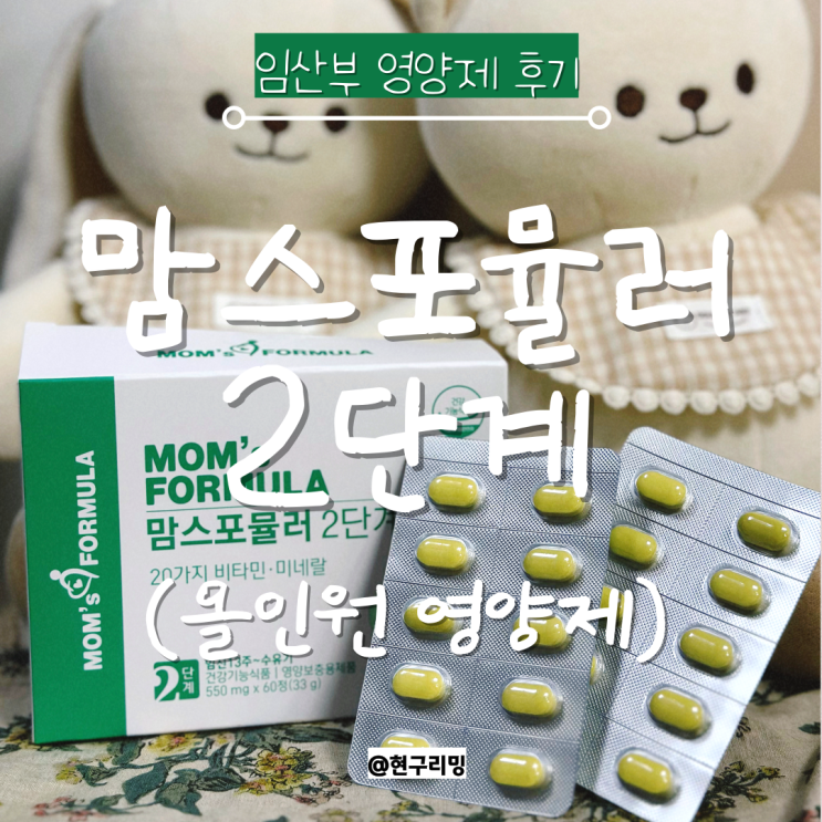  임산부 시기별 영양제 소개 및 임산부 철분제 추천