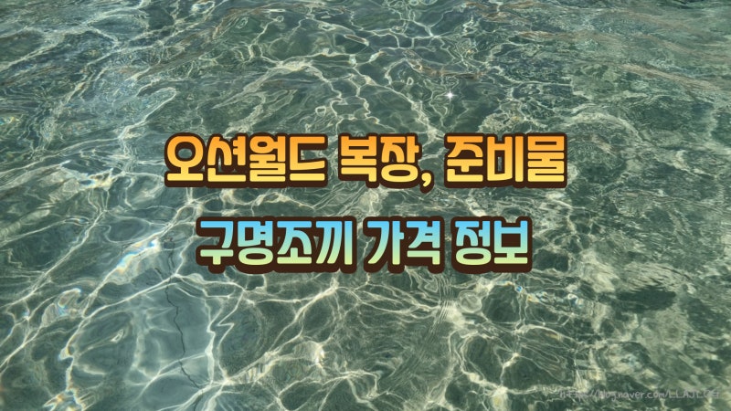 오션월드 준비물, 구명조끼 대여료, 서핑마운트 파도 시간 정보