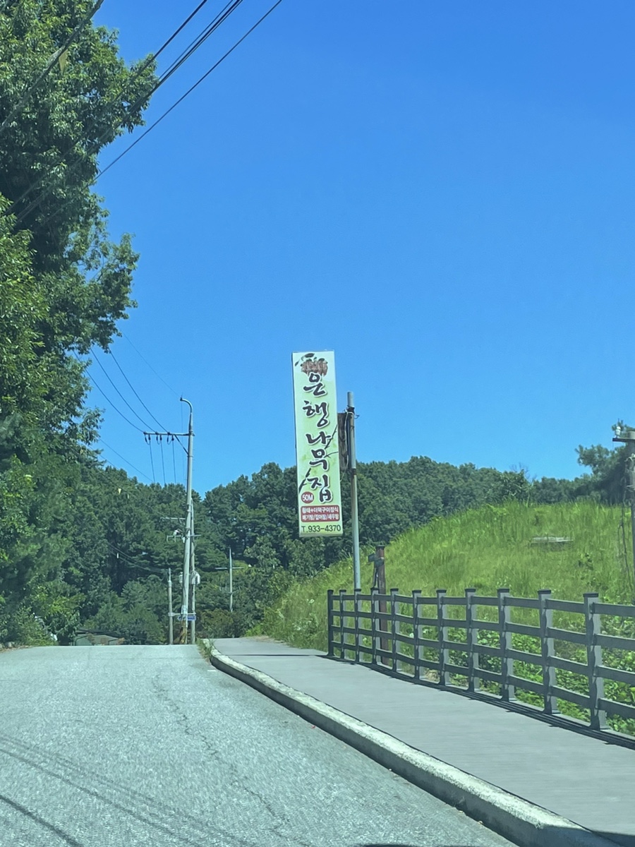 은행나무집 사진 3