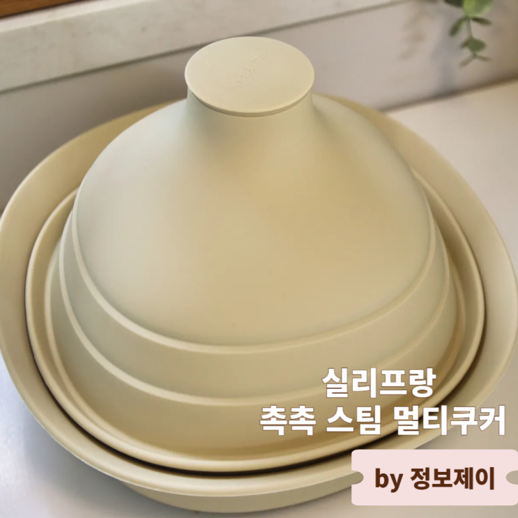  전자레인지찜기 추천 실리콘찜기 실리프랑 촉촉 스팀 멀티쿠커 후기