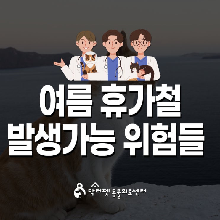  여름휴가철 반려동물에게 생길 수 있는 위험들 부산24시동물병원