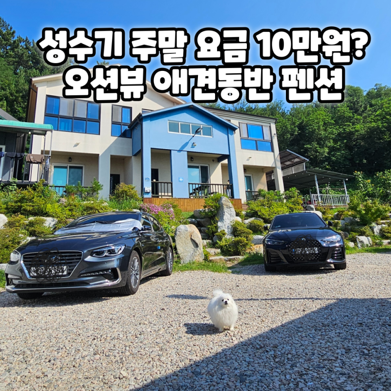 사진 9