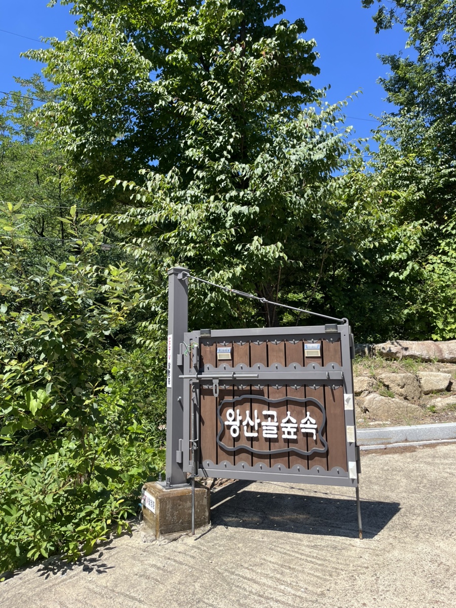 왕산골숲속펜션 사진 2