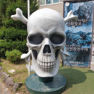 사진 5