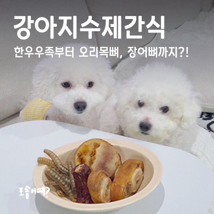  강아지수제간식 보양용으로 딱! 대한견식 후기