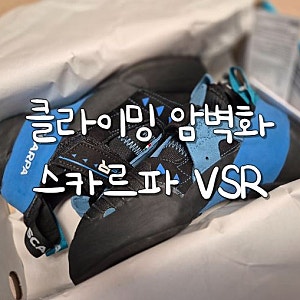 클라이밍 암벽화 스카르파 VSR 사이즈 실사용 후기
