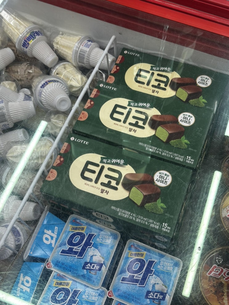  쀼의 일상
