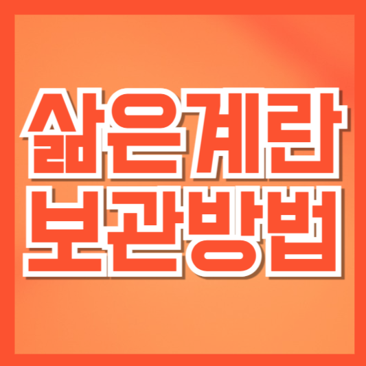  삶은 계란 냉장 보관법 | 껍질 유무별 보관기간과 실온 주의사항 한눈에