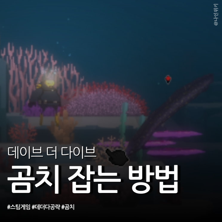  데이브 더 다이브 데더다 공략 곰치 잡는 방법은 야간 다이빙