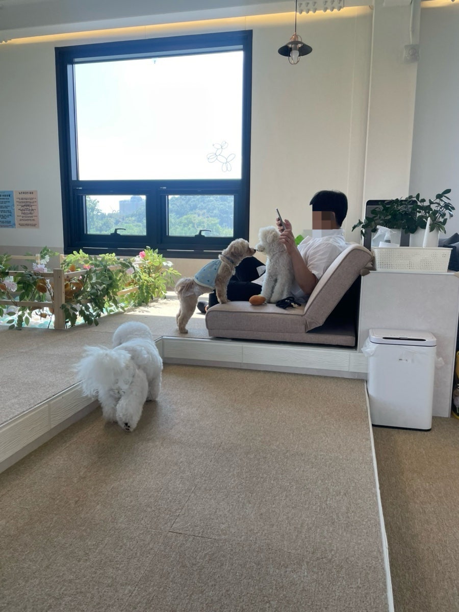 펫케아 사진 2