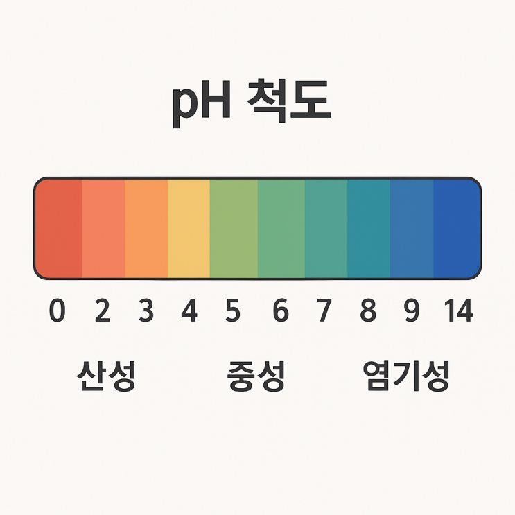  산성 염기성 중성 ph 뜻 특징 구분ㅣ산-염기 실험 지시약 색 중화반응
