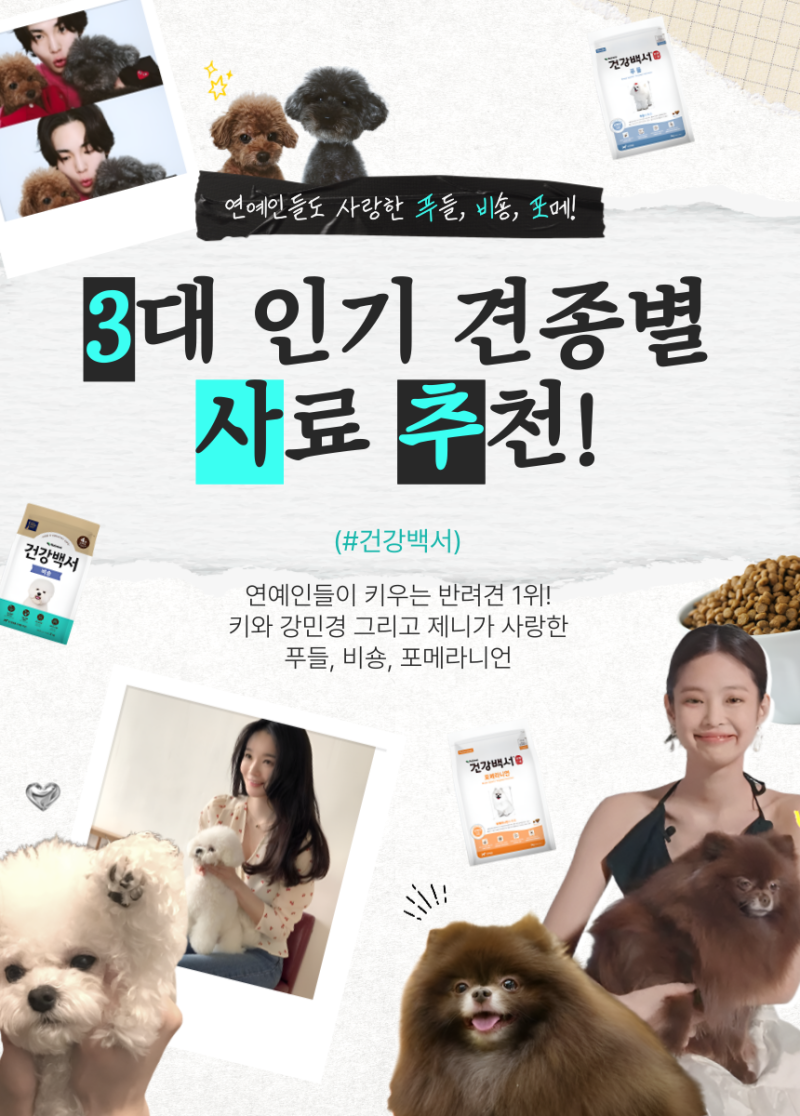 SHINee Key, Kang Minkyung, Jennie's Pet Dogs: Poodle, Bichon, Pomeranian! Dog Food Recommendations by Breed for Their Health