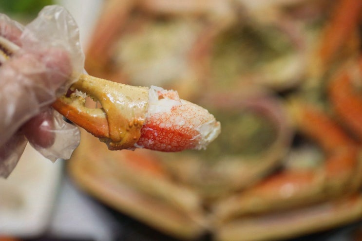  가성비 좋은 대게와 스끼다시가 유명한 카시아속초맛집, 대포어촌회센타 속초본점