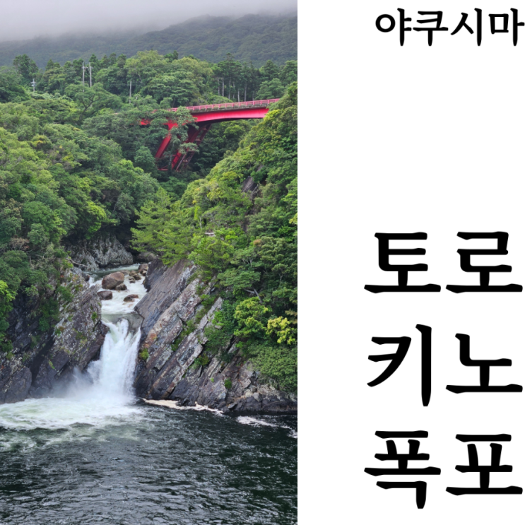  [야쿠시마여행]토로키노 폭포 Torokino falls 위치 야쿠시마 추천코스 가볼만한곳 후기