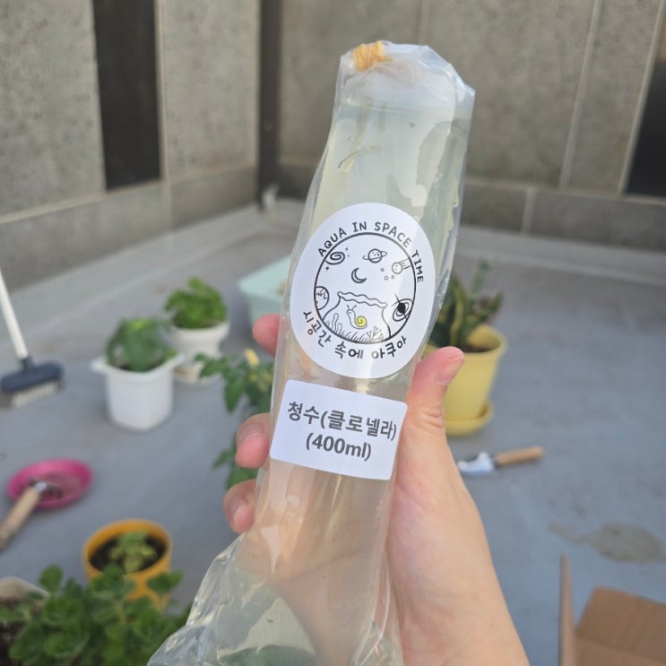  식물영양제 시공간속에아쿠아 클로렐라 액체비료
