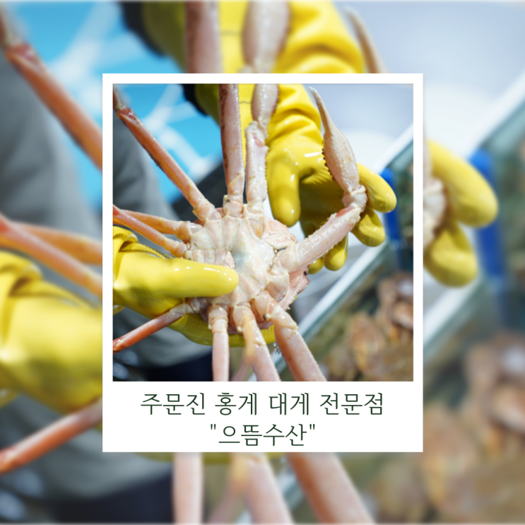  주문진 좌판풍물시장 홍게 대게 전문점 으뜸수산